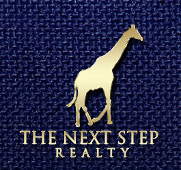 NextStep-logo-only.jpg