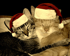 christmas-hugs-by-tuija2005.jpg