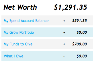 net-worth.png